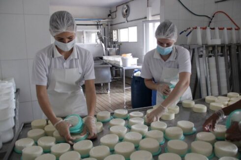 agroindustria-queijo