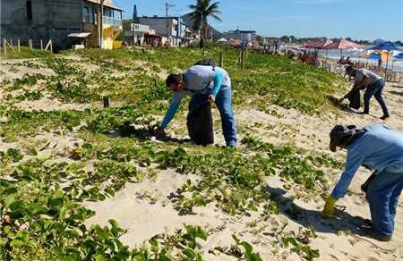 Limpeza das praias de Itapemirim