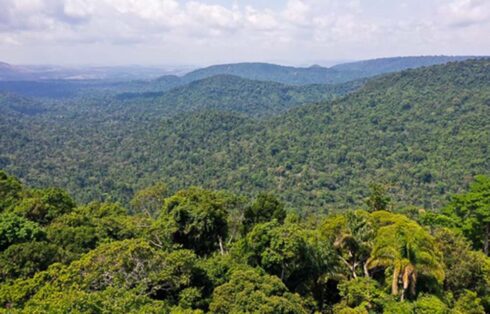 O vice-presidente da República, Hamilton Mourão, e os chefes de missões diplomáticas à Amazônia Oriental, fazem sobrevoo para a  sobre a Floresta Nacional de Carajás e visita à mineradora Vale.