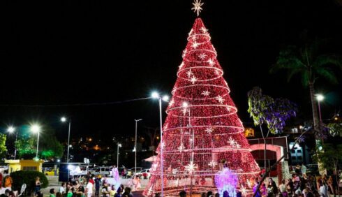 Árvore de Natal e feira de artesanato