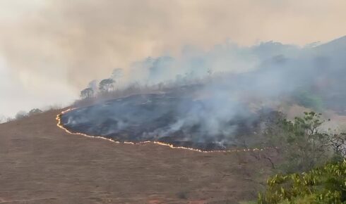 incendio-mata-das-flores-26-08-2024