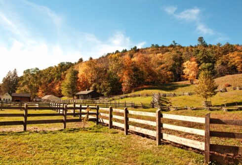 propriedade-rural-roca-fazenda-13-11-2024