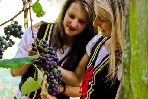 Festa da Uva e do Vinho em São bento de Urânia