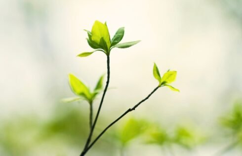 ando-aprendendo-12-12-25