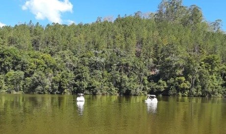 causos-interior-12-12-25